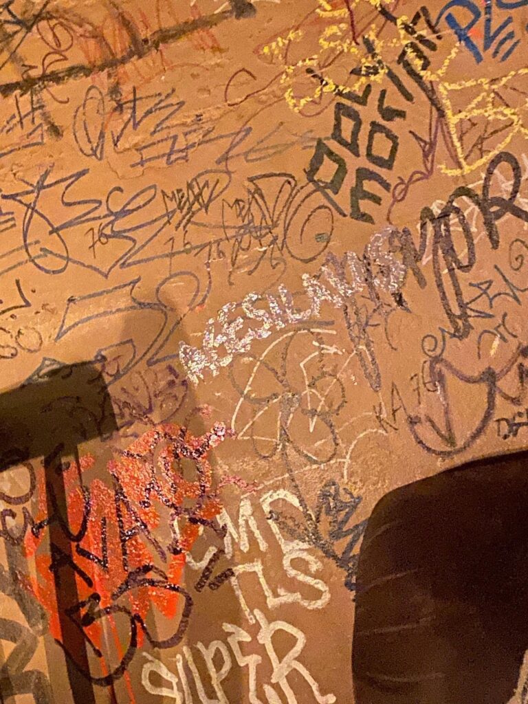 'Agesilaus' written in sparkly white nail polish on a heavily-graffitied wall inside a bar in Berlin. All the different writing and tags come together to create a wonderful collage of words and writing styles.