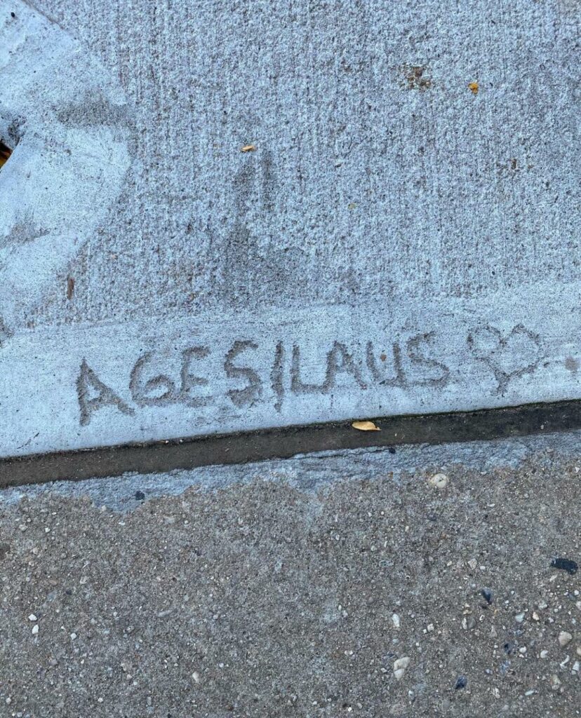 Photo of a concrete etching taken in Clinton Hill, where someone etched 'Agesilaus' into wet concrete.