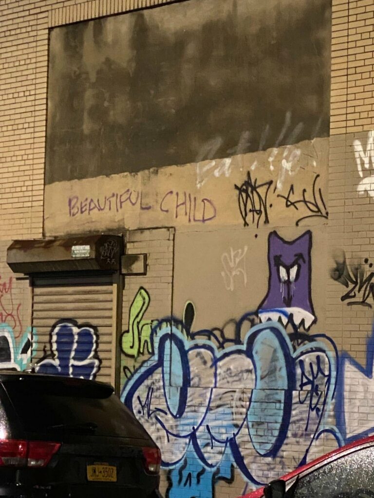 "Beautiful Child" written in purple spray paint on a heavily tagged building wall in Gowanus. Above a blue skull and next to a purple monster face.
